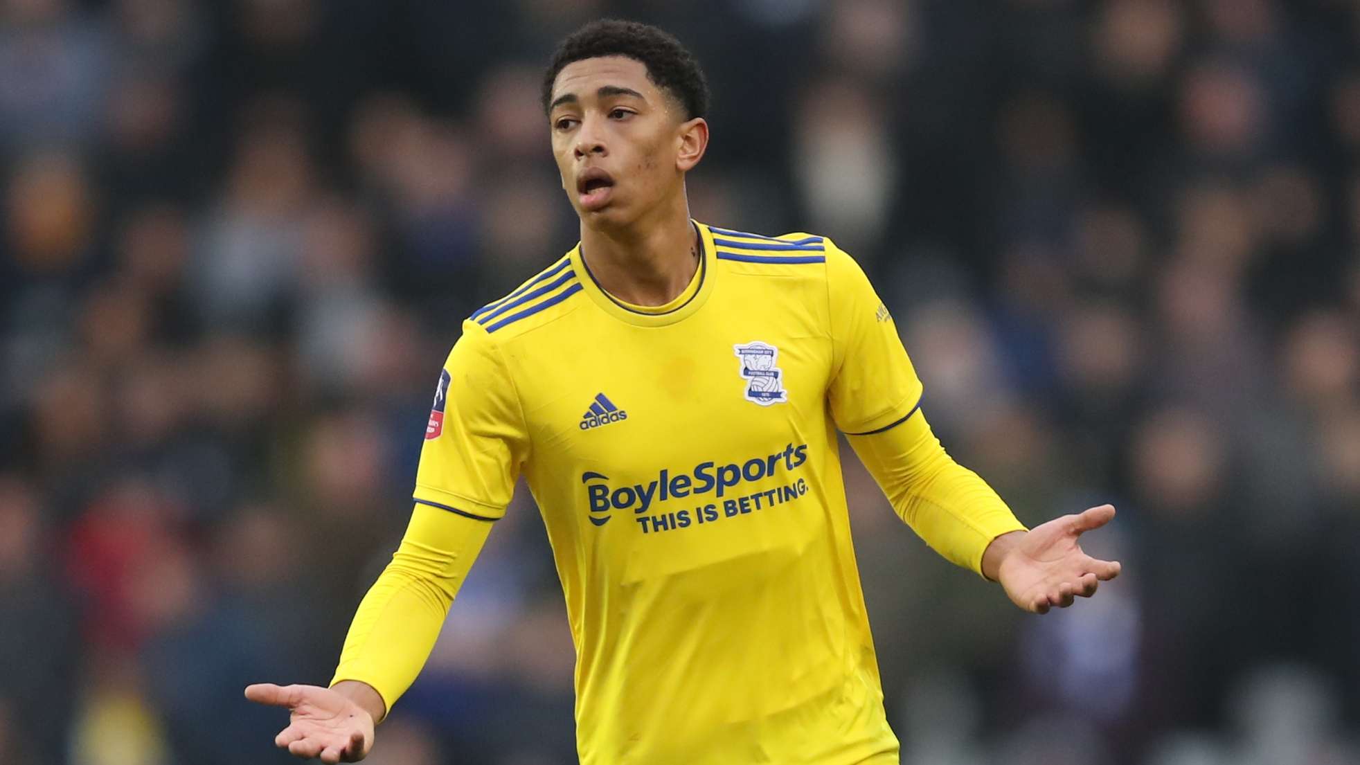 个人职业目 个人职业目