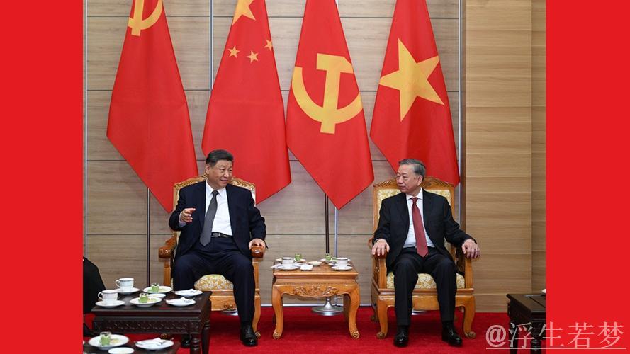 习近平与越共中央总书记苏林举行会晤 习近平与越共中央总书记苏林举行会晤